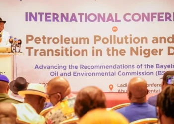 Gov Diri takes quest for environmental justice to FG