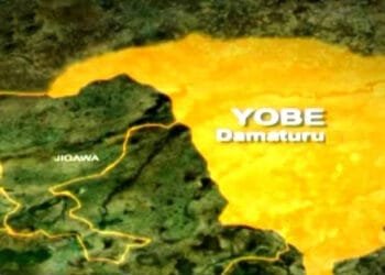 Yobe deposits N2.4bn counterpart fund for basic education