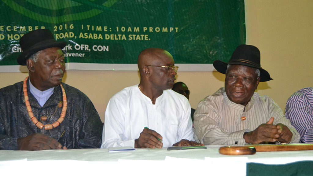 PANDEF applauds Tinubu for releasing Rivers allocation, calls for unity in Niger Delta