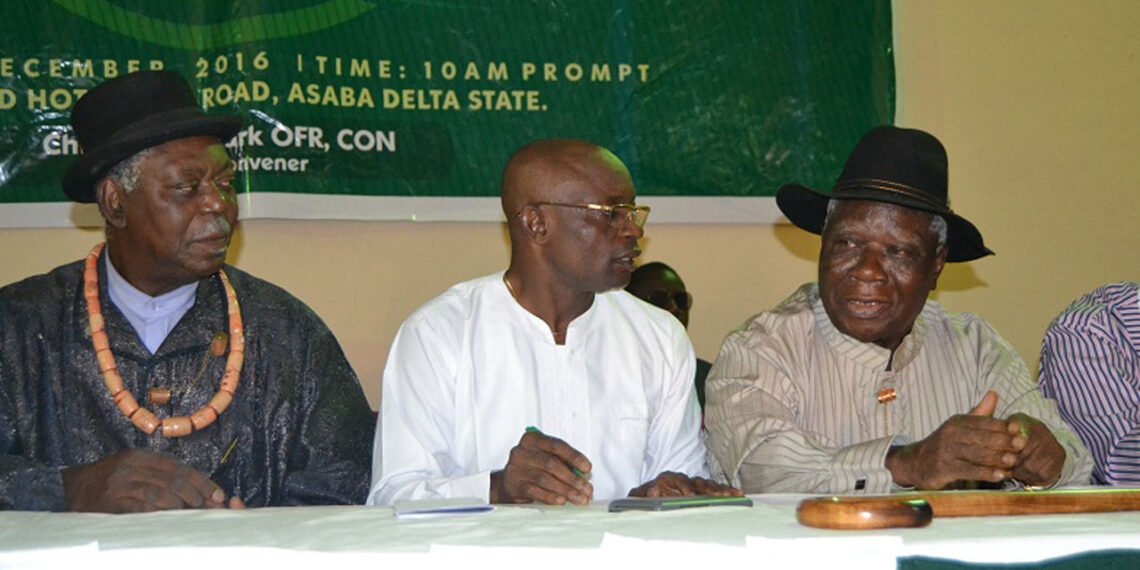 PANDEF applauds Tinubu for releasing Rivers allocation, calls for unity in Niger Delta