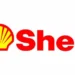 Shell, partners donate $1m to assist Borno flood victims