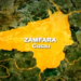 Zamfara leads Nigeria in IGR growth with 240% surge as push for self-reliance continue
