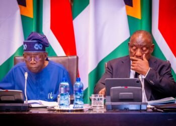 South Africa eyes Nigeria’s Lithium for Electric Vehicle Revolution, backs Nigeria’s G20 ambition