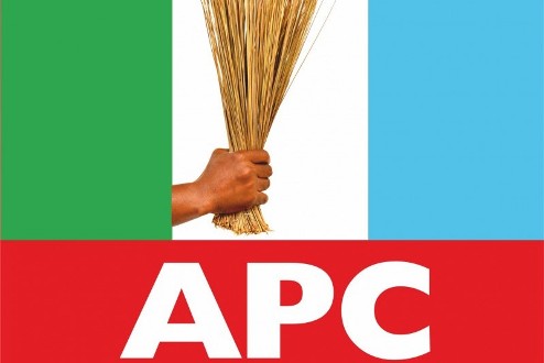 Leadership crisis rocks Delta APC