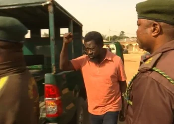Court grants Dele Farotimi N30m bail