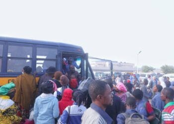 Gov. Zulum launches free transport for 710 non-indigenes, extends support to 250 widows in Borno