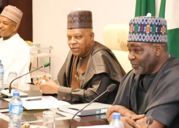 VP Shettima urges strategic asset privatization, launches critical risk analysis report