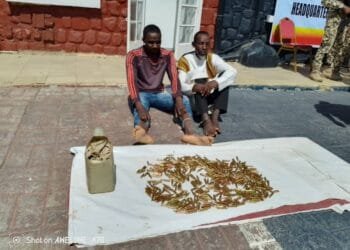 Army raid hideout in Plateau, arrest kidnap kingpin and recover weapons