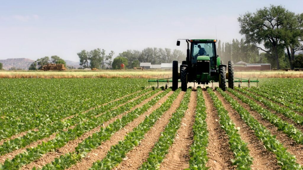 ATPS advocates for Farmers' sdvancement in Ebonyi with transformative study