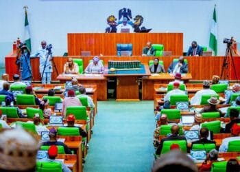 Reps minority caucus knocks FG over crackdown on critics, demands release of detainees