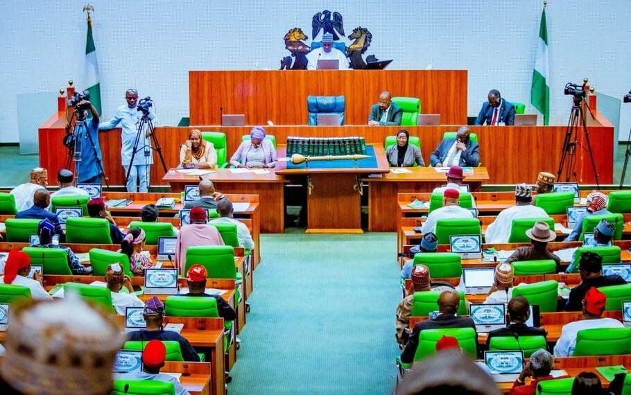 Reps minority caucus knocks FG over crackdown on critics, demands release of detainees