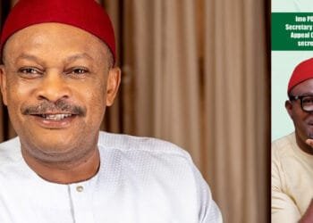 Just In: Appeal Court sacks Anyanwu as PDP national secretary, affirms Ude Okoye