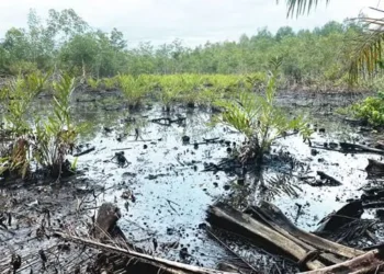Gbaramatu communities’ issue 7-day ultimatum, demand compensation over oil spill
