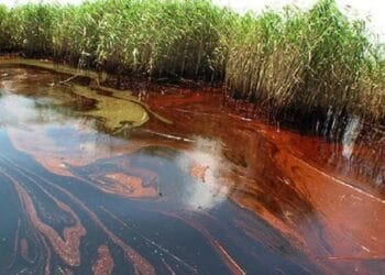 Oil Spill Disaster in Rivers State: NIMASA begins monitoring as SPDC pipeline ruptures