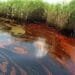 Oil Spill Disaster in Rivers State: NIMASA begins monitoring as SPDC pipeline ruptures