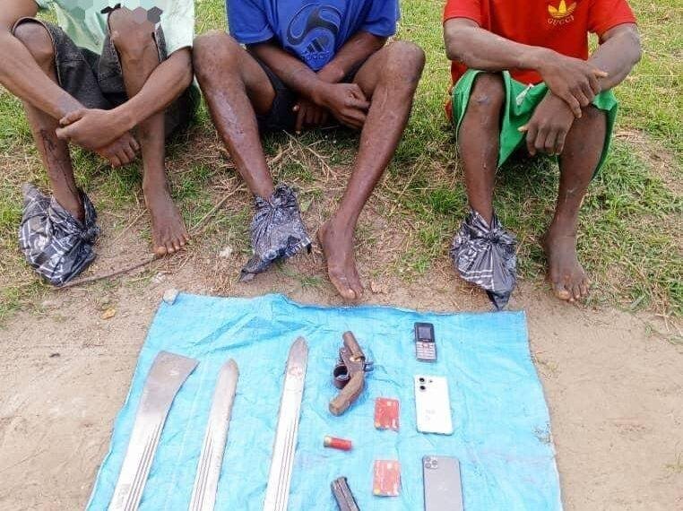 Armed robbers arrested in Delta
