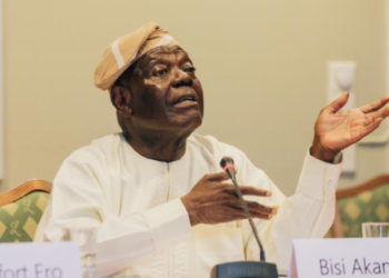 Akande replies #EndSARS protesters, says protest targeted Tinubu