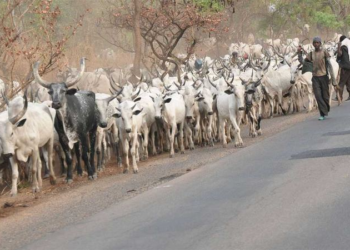 Owah-Abbi community cries out over autonomy threats, Herdsmen invasion