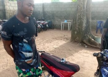 Suspected motorcycle thief arrested in Delta