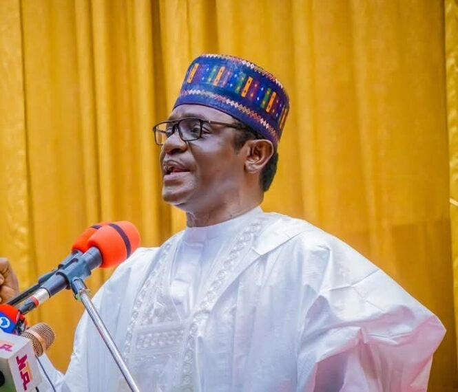 Ensure quality execution of projects in Yobe - Buni tells monitoring committee