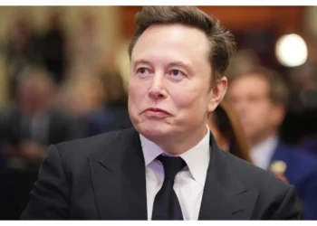 Elon Musk changes name to Kekius Maximus