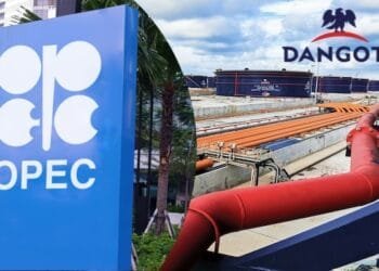 OPEC: Dangote refinery affecting European petrol market