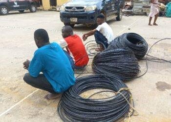 Police arrest vandals