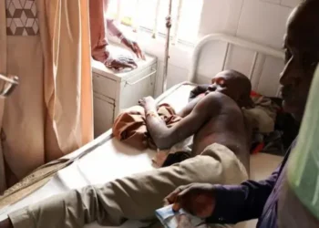 Zulum condemns attack on fishermen at Dumba