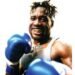 Nigerian-American boxer wins UBO boxer of the year 2024 award