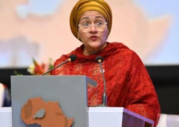 UN deputy secretary-general, Edun hold talks on key development goals