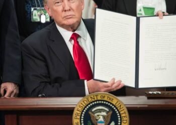 Trump’s Executive Order on Birthright Citizenship: How it affect Nigerians, other Immigrants