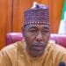 Gov. Zulum announces 50% petrol subsidy for farmers in B/Haram impacted communities 