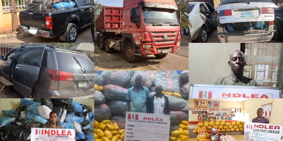 NDLEA intercept trailer load of cannabis in Abuja, arrest drug trafficker in Lagos