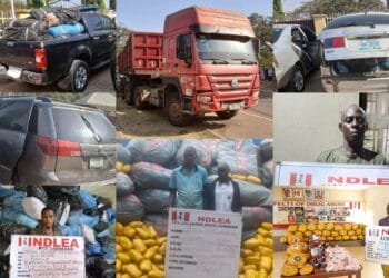 NDLEA intercept trailer load of cannabis in Abuja, arrest drug trafficker in Lagos