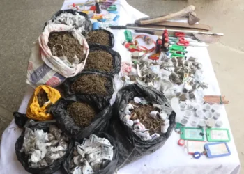 245 suspects arrested by police in Abuja