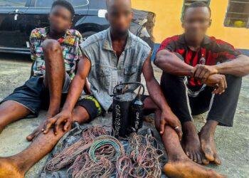 Rivers police arrest vandals of street solar lights