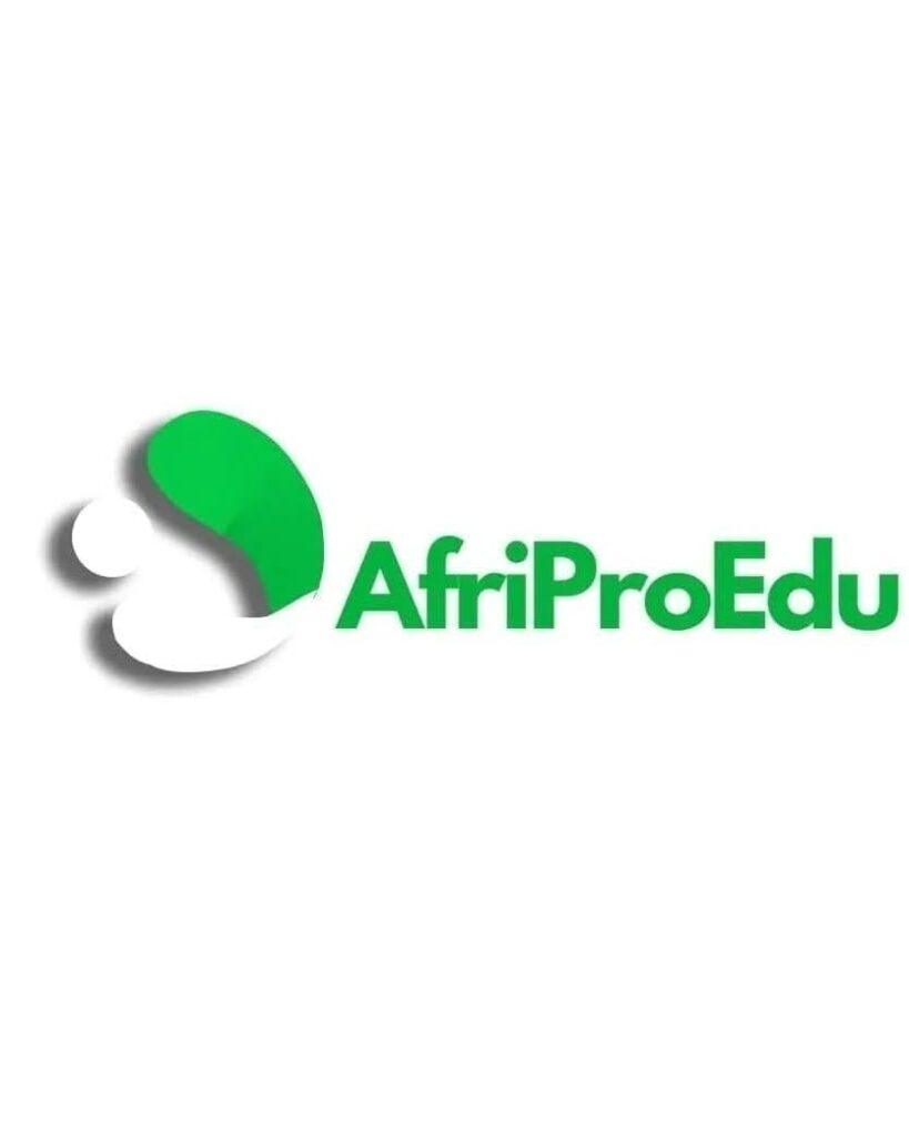 Study in Finland for Free: How AfriProEdu is revolutionizing abroad education opportunities for African