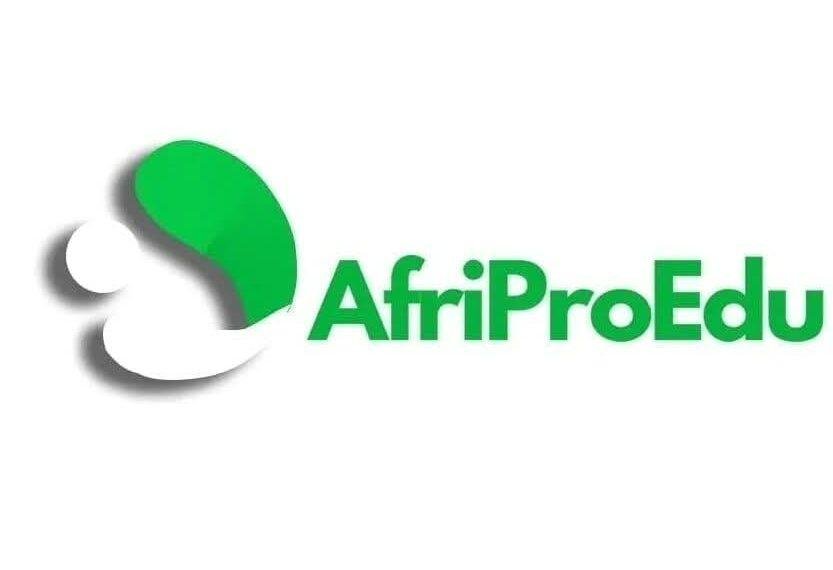 Study in Finland for Free: How AfriProEdu is revolutionizing abroad education opportunities for African