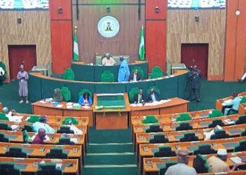 Reactions as House of Representatives proposes 31 new States