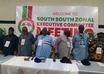 South-South PDP suspends Omemu as zonal secretary over misconduct
