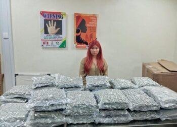 NDLEA arrest Thai woman at Lagos airport