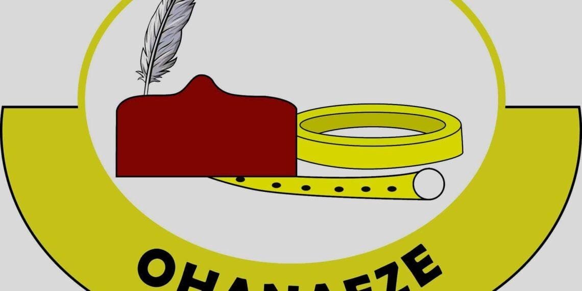 Ohanaeze advises Igbo to maintain neutrality over Lagos assembly leadership crisis