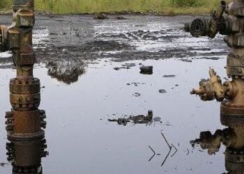 Gokana LG stakeholders give conditions for restarting oil exploration in Ogoni