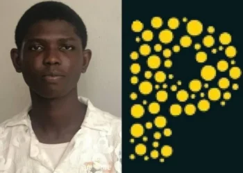 20-yr-old FUPRE student floats social media app Plutoid