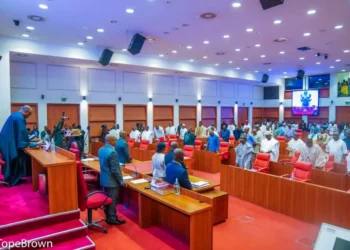 Senate summons security chiefs