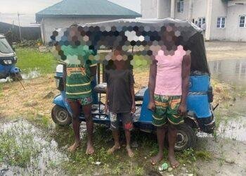 Delta police arrest tricycle robbery syndicate