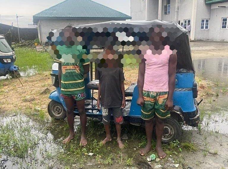 Delta police arrest tricycle robbery syndicate