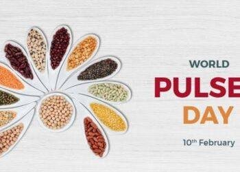 World Pulses Day