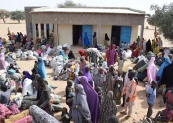 Zulum on repartriation of refugees