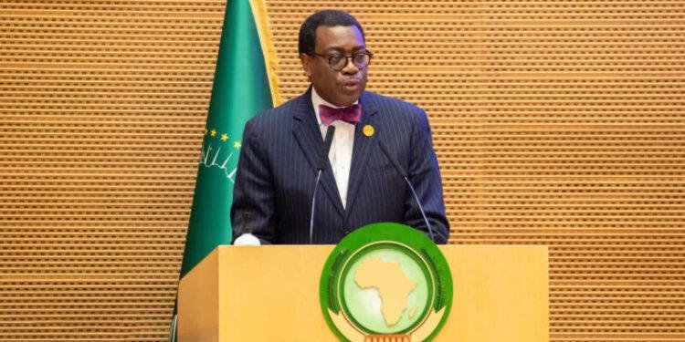 African Union Summit: African Development Bank President Adesina hails decade of unprecedented economic growth